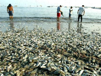 深圳水質(zhì)檢測(cè)機(jī)構(gòu) 深圳水質(zhì)檢測(cè)機(jī)構(gòu)