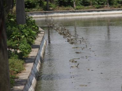 深圳水質(zhì)檢測(cè) 深圳水質(zhì)檢測(cè)